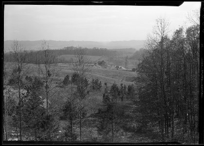View from the north of the poultry and gardening center of the TVA at Norris. - NARA - 532803 photo