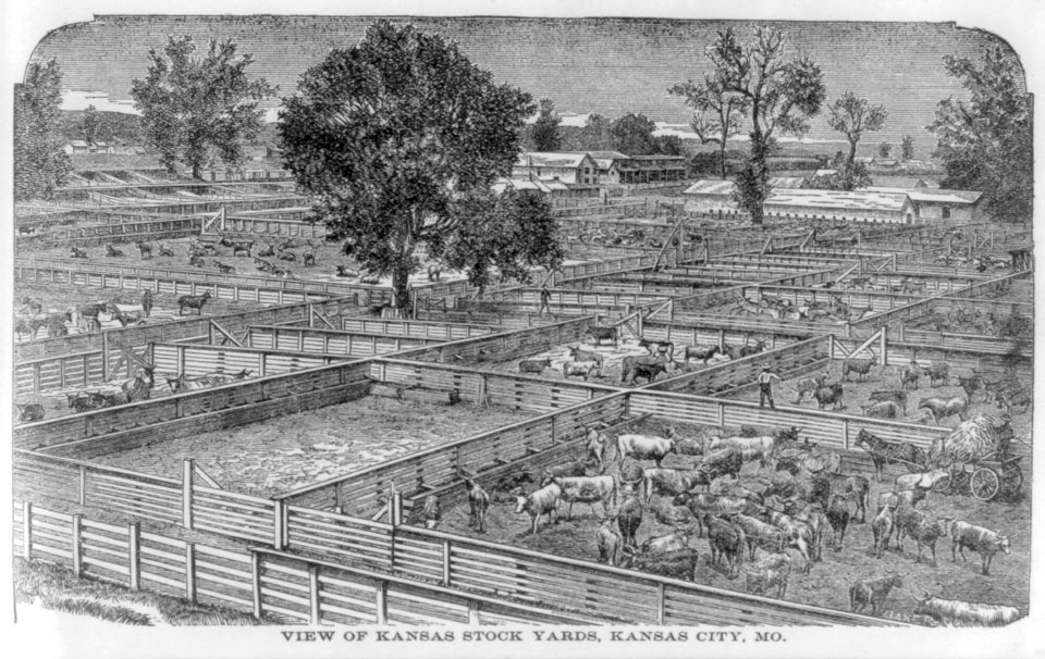 View of Kansas Stock Yards, Kansas City, Mo. LCCN2007681581