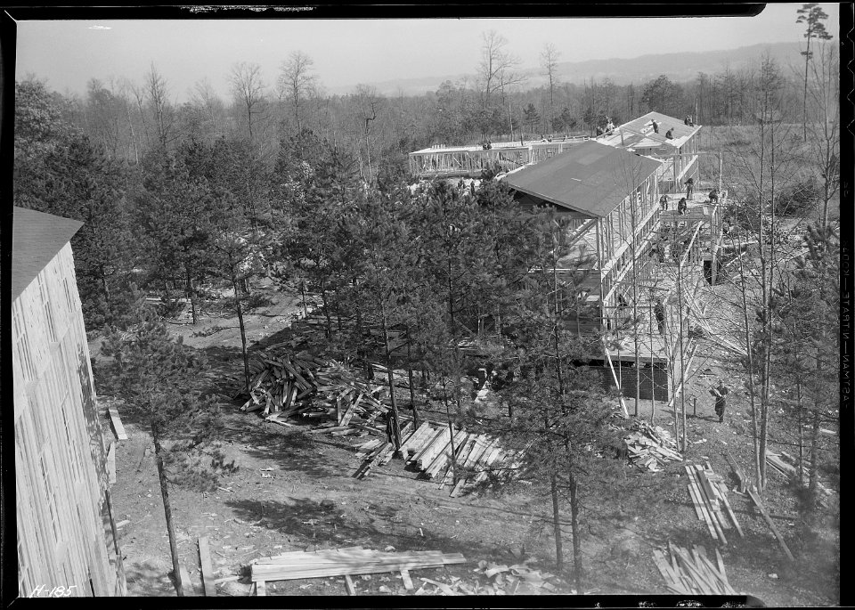 View of engineers' building and girls' dormitory at Norris townsite. This picture was taken from the roof of one of... - NARA - 532802