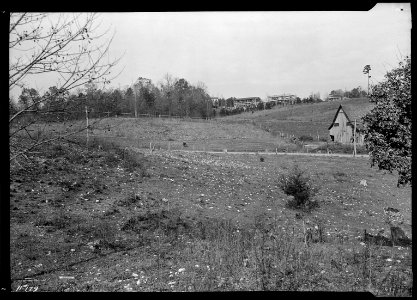 View of more farm land purchased by the TVA. This land will be used as a poultry and gardening demonstration center.... - NARA - 532796 photo