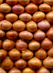 Wallpaper fruit onion
