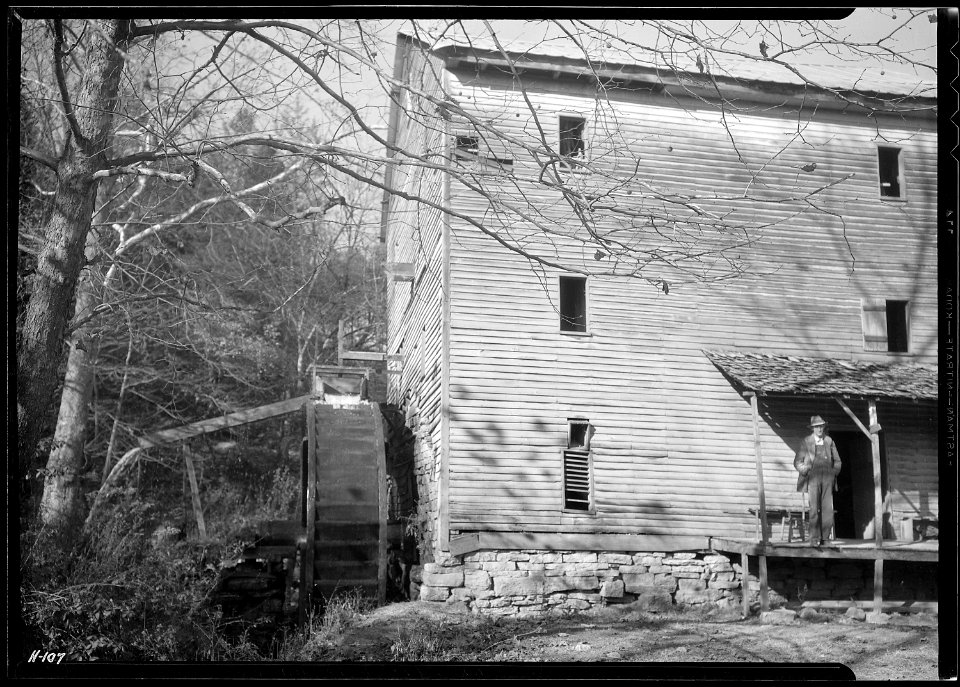 Watermill grinding meal, run by H. L. Nicely, son of J. C. Nicely, at Goin, Tennessee. This old mill was built 100... - NARA - 532725