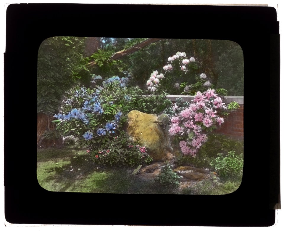 Welwyn, Harold Irving Pratt house, 100 Crescent Beach Road, Glen Cove, New York. Rhododenron at terrace wall LCCN2008675638