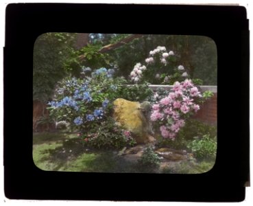 Welwyn, Harold Irving Pratt house, 100 Crescent Beach Road, Glen Cove, New York. Rhododenron at terrace wall LCCN2008675638