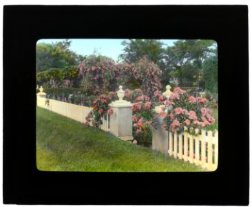 Westlawn, Edward Tiffany Dyer house, Great Plains Road, Southampton, New York. Garden fence LCCN2007685116