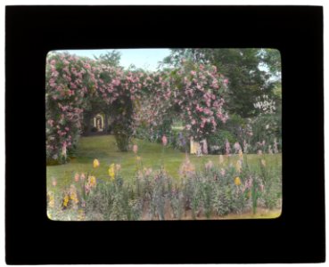 Westlawn, Edward Tiffany Dyer house, Great Plains Road, Southampton, New York. Rose arbor LCCN2008675728