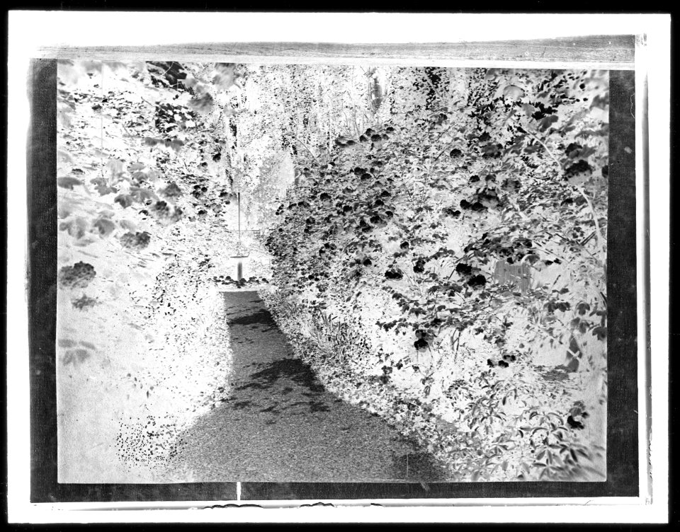 Willowbank, Joseph Coleman Bright house, 624 Morris Avenue, Bryn Mawr, Pennsylvania. Pathway to fountain LCCN2008675997
