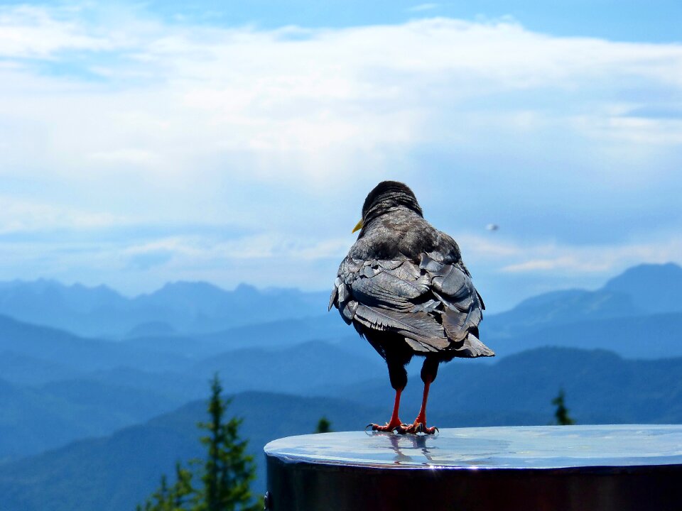 Mountains nature waiting