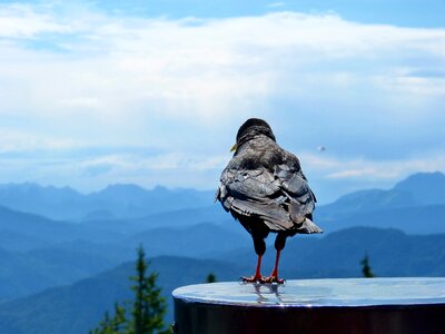 Mountains nature waiting