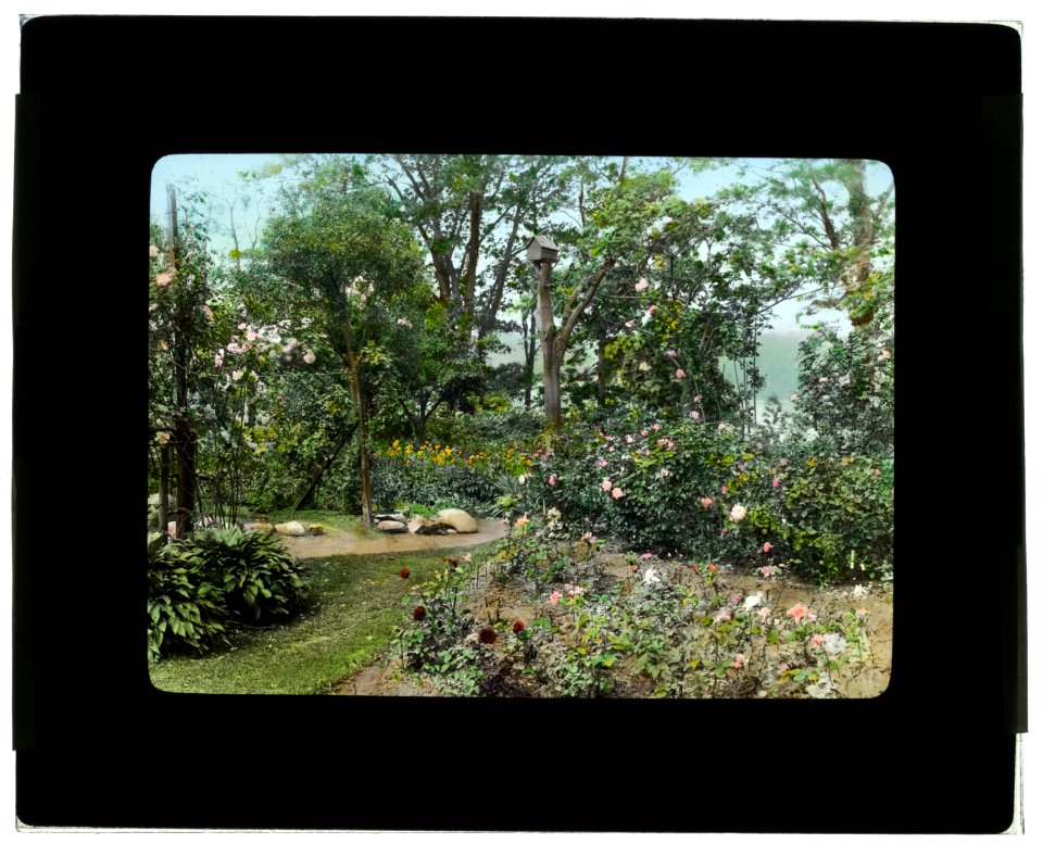 Willowmere, Rear Admiral Aaron Ward house, 435 Bryant Avenue, Roslyn Harbor, New York. Rose garden LCCN2008679204