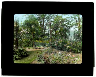 Willowmere, Rear Admiral Aaron Ward house, 435 Bryant Avenue, Roslyn Harbor, New York. Rose garden LCCN2008679204