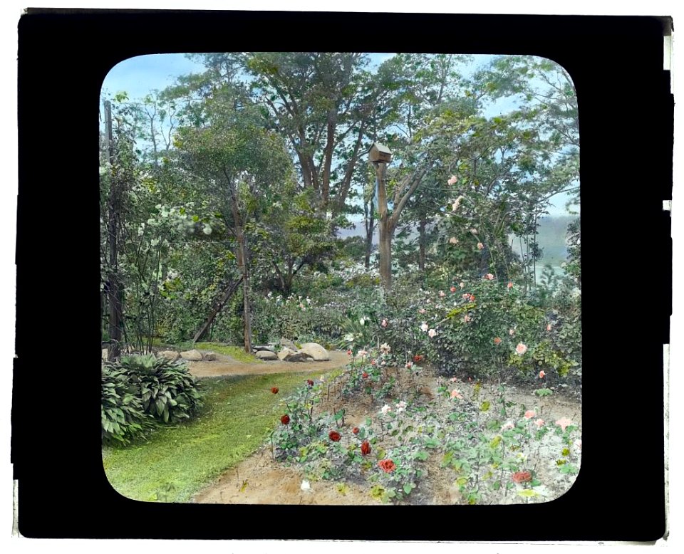 Willowmere, Rear Admiral Aaron Ward house, 435 Bryant Avenue, Roslyn Harbor, New York. Rose garden LCCN2008677536