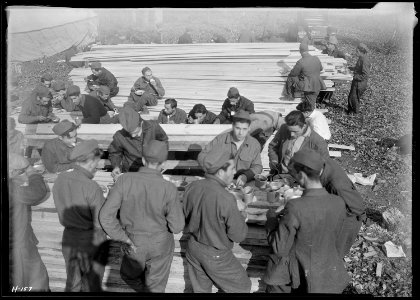 `Pine table' in use at CCC Camp, TVA ^22, near Esco, Tenn. The lumber on which these boys are having their noon meal... - NARA - 532775
