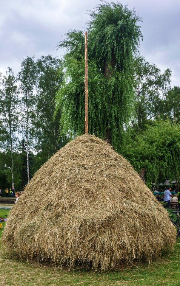Nature pile feed
