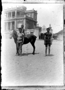 (Deux jeunes hommes, un enfant et un cheval sur une plage) - Fonds Berthelé - 49Fi1410 photo