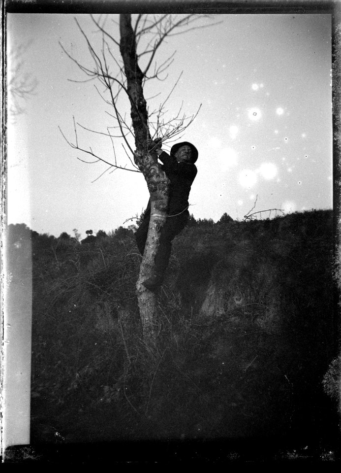 (Homme dans un arbre) - Fonds Berthelé - 49Fi1380