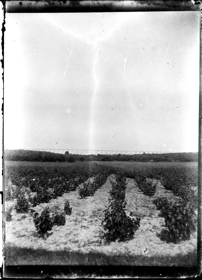 (Paysage) - Fonds Berthelé - 49Fi1332