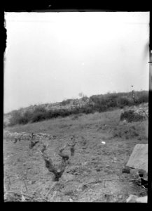 (Paysage) - Fonds Berthelé - 49Fi1342