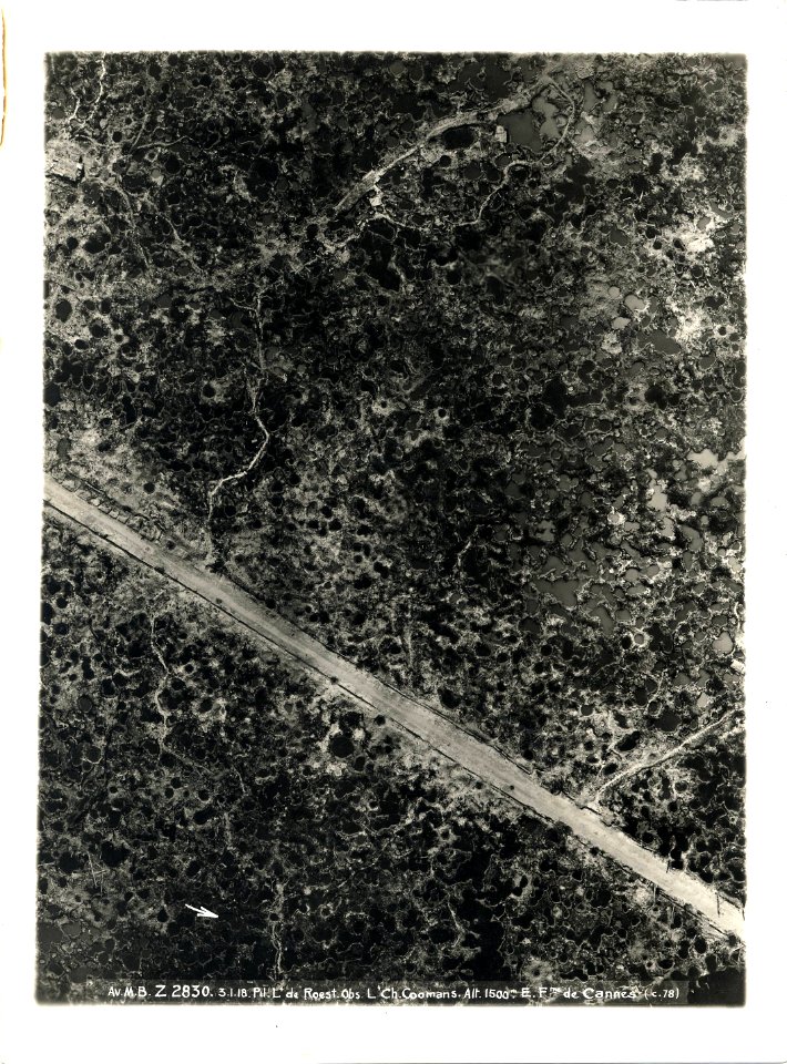 (Photo aérienne verticale de la Ferme de Cannes) - Fonds Berthelé - 49Fi1692