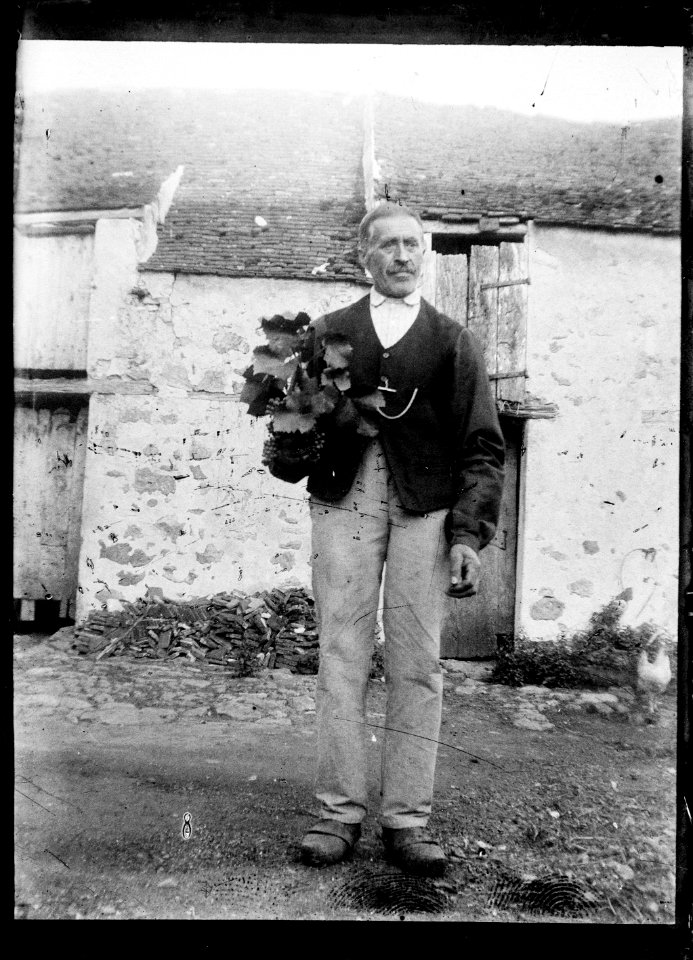 (Portrait d'un homme âgé) - Fonds Berthelé - 49Fi1370