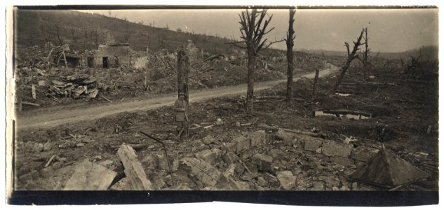 (Ruines du village d'Allemant) - Fonds Berthelé - 49Fi1774