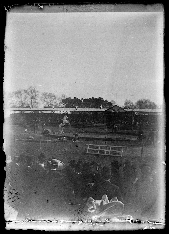 (Spectacle équestre) - Fonds Berthelé - 49Fi1344