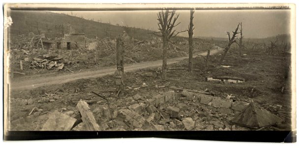 (Ruines du village d'Allemant) - Fonds Berthelé - 49Fi1777