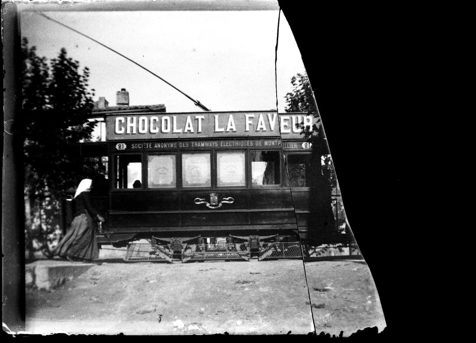 (Tramway à Montpellier) - Fonds Berthelé - 49Fi1331