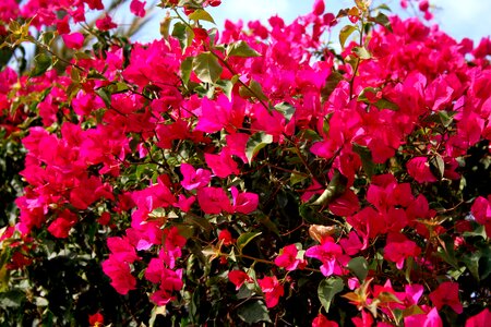 Spain marbella summer