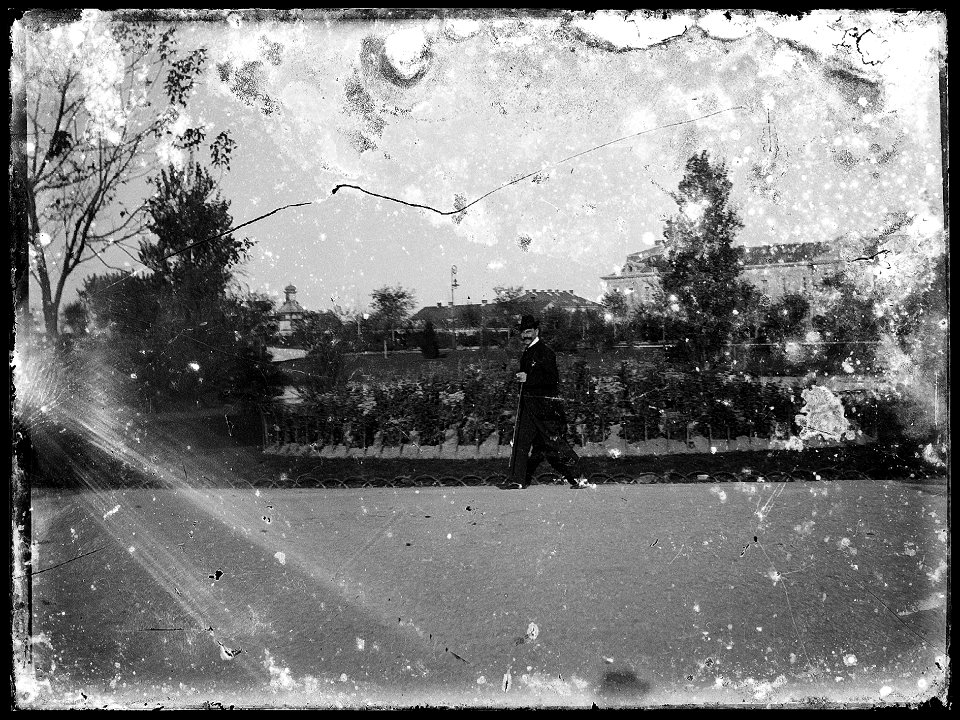(Un homme pose dans un parc) - Fonds Berthelé - 49Fi1556