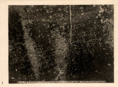 (Vue aérienne verticale de l'abri Ludendorf en Belgique) - Fonds Berthelé - 49Fi1702