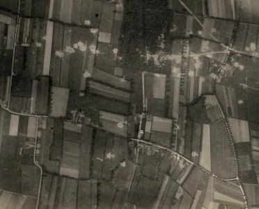 (Vue aérienne verticale de Leugenboom en Belgique) - Fonds Berthelé - 49Fi1709 (cropped)