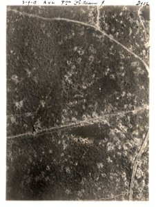 (Vue aérienne verticale de la ferme Postdam en Belgique) - Fonds Berthelé - 49Fi1687