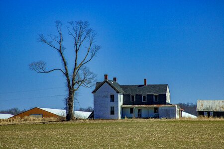 Grass sky blue farm photo