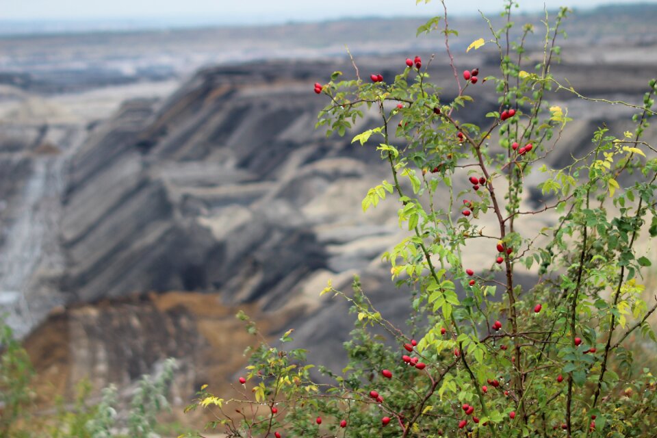 Dump overburden nature