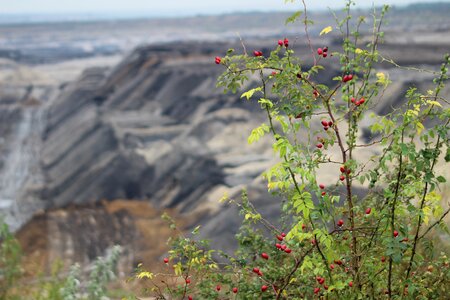 Dump overburden nature