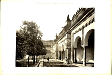 004 Cordova - Orangenhof in der Moschee