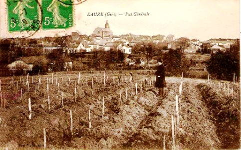 01 Eauze vignoble