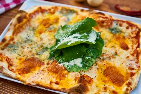 Macro cheese kitchen