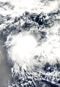 03R 7 November 2009