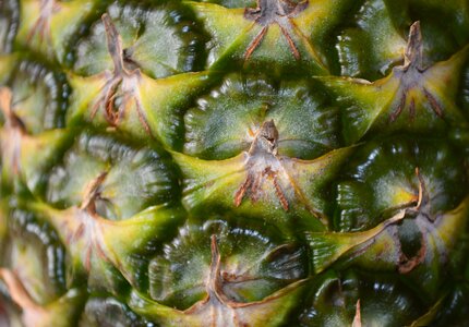 Tropical food healthy