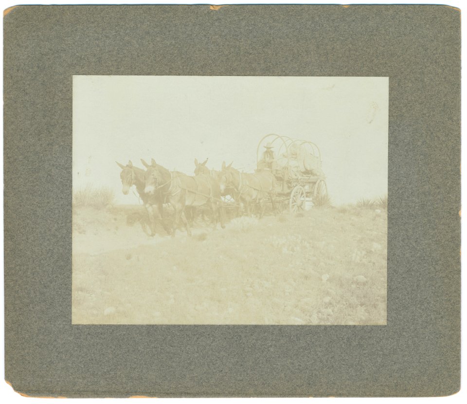07343u Chuck-wagon on the move