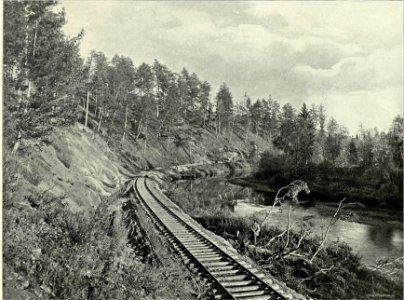 079 Ветвь в Кемчугский Карьер (cropped)