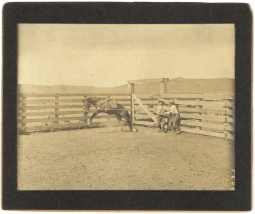 07337u In the bronc pens