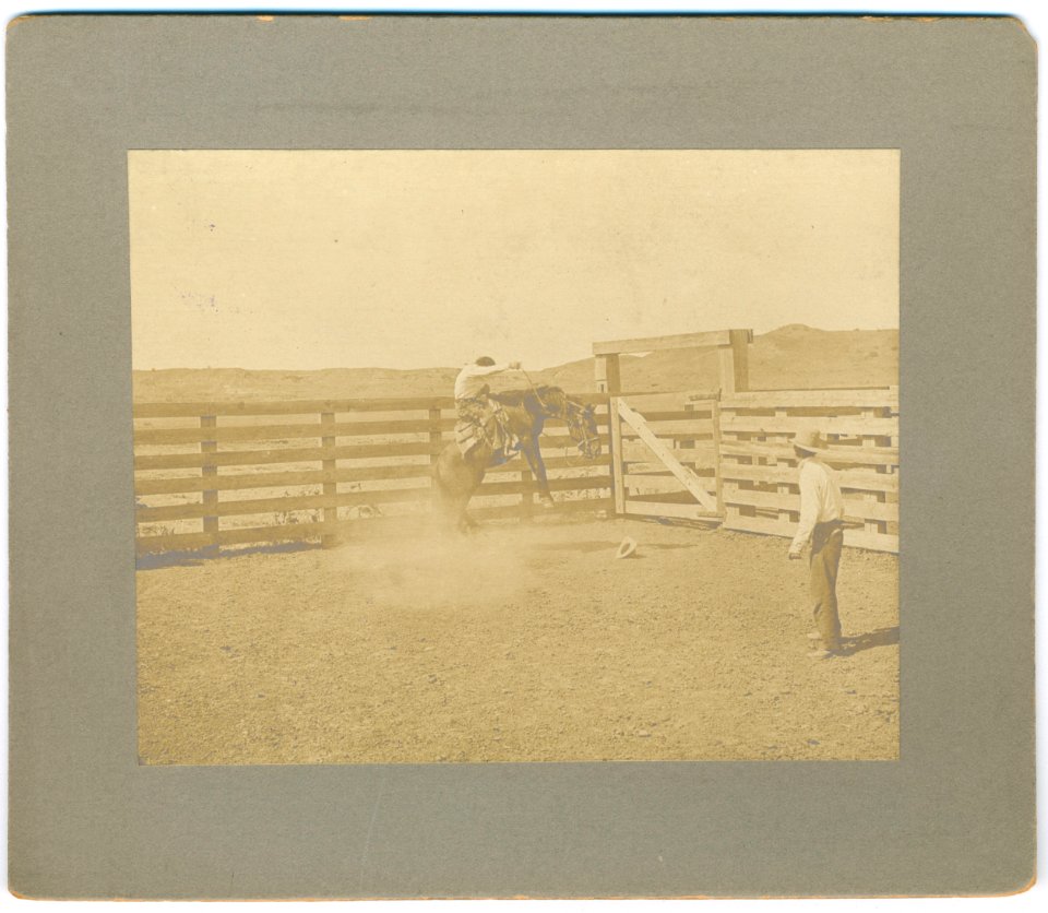 07341u The LS bronco buster