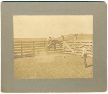 07341u The LS bronco buster