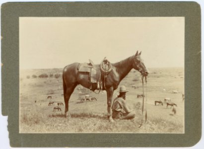 07350u The horse wrangler