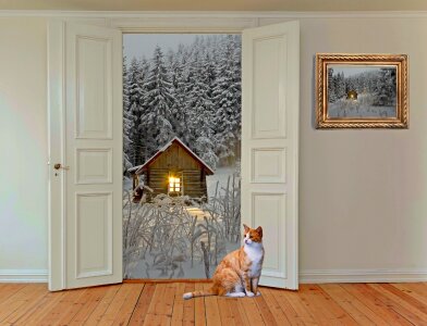 Room door hinged door outlook