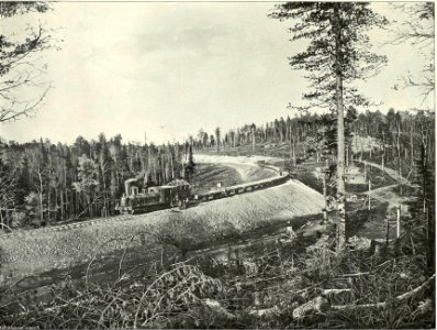 087 Вид жд линии на 653-654 вер (cropped)