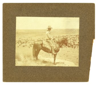 08795u A Texas cowboy